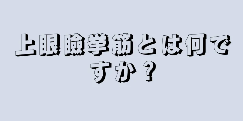 上眼瞼挙筋とは何ですか？