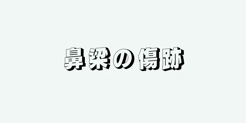 鼻梁の傷跡