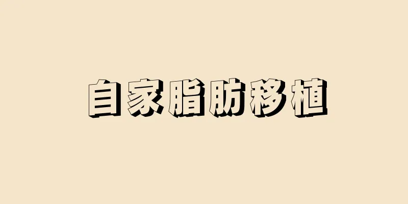 自家脂肪移植