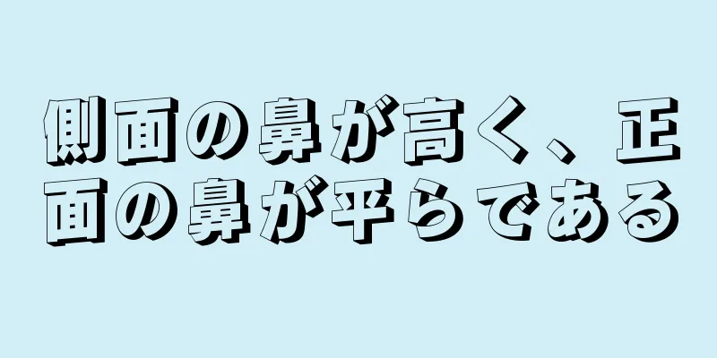 側面の鼻が高く、正面の鼻が平らである