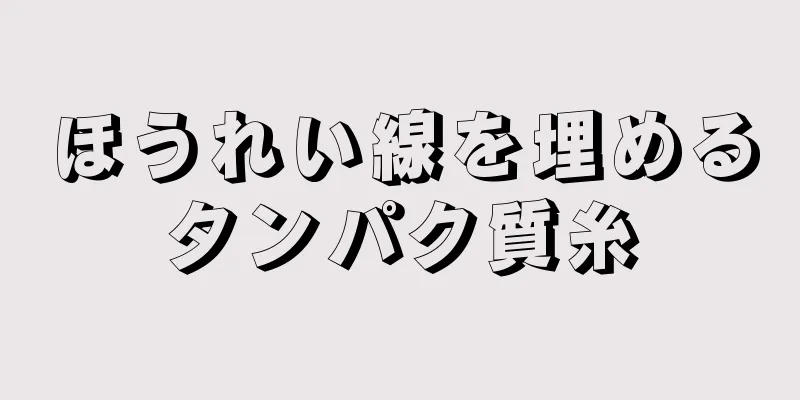 ほうれい線を埋めるタンパク質糸