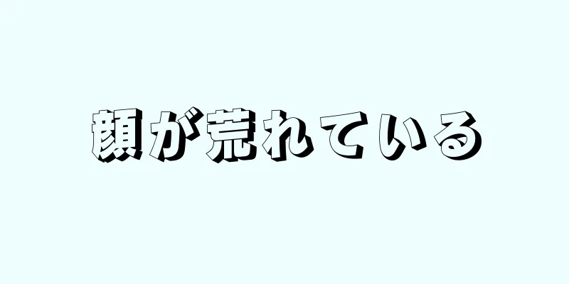 顔が荒れている