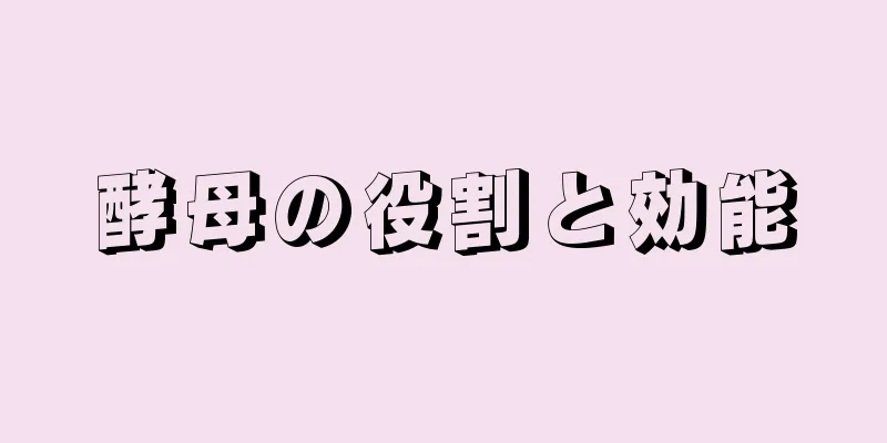 酵母の役割と効能