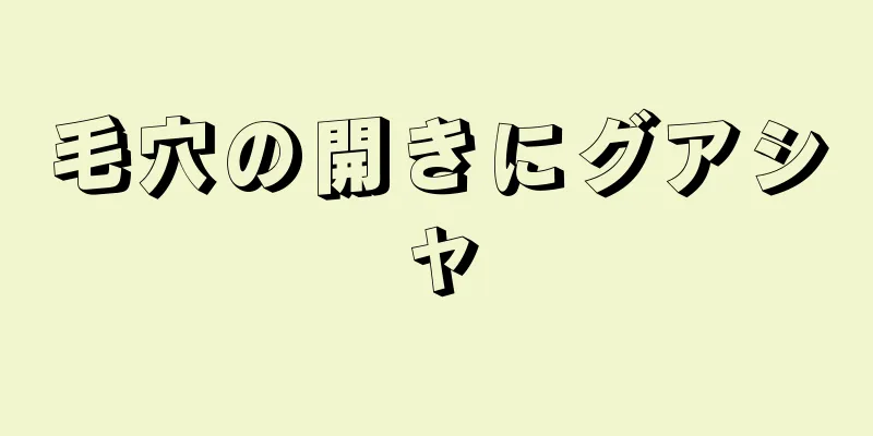 毛穴の開きにグアシャ