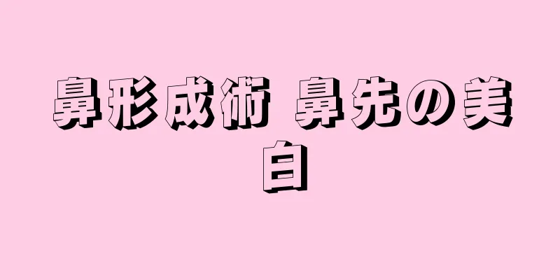 鼻形成術 鼻先の美白