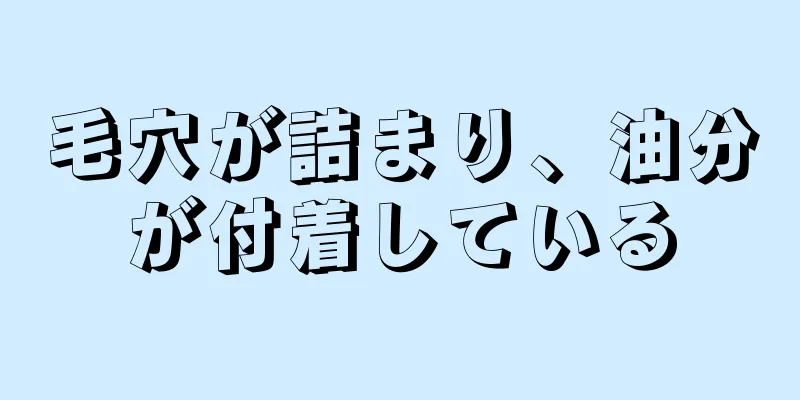 毛穴が詰まり、油分が付着している