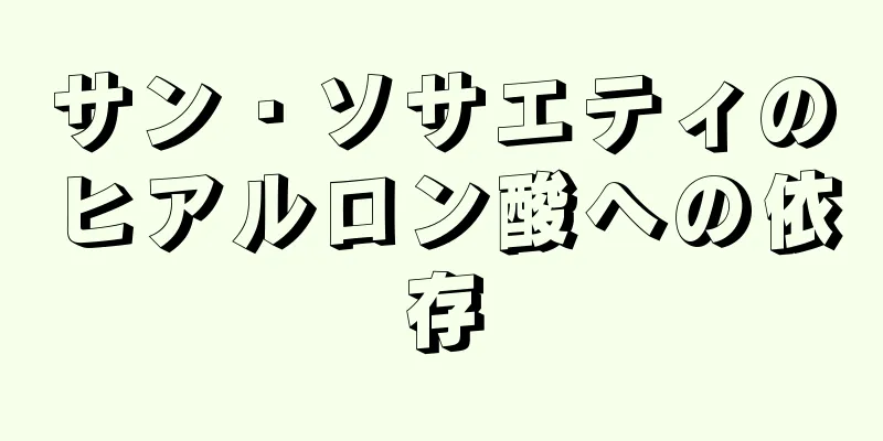 サン・ソサエティのヒアルロン酸への依存