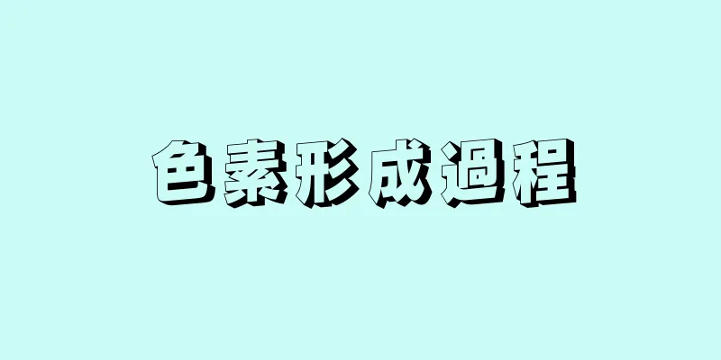色素形成過程