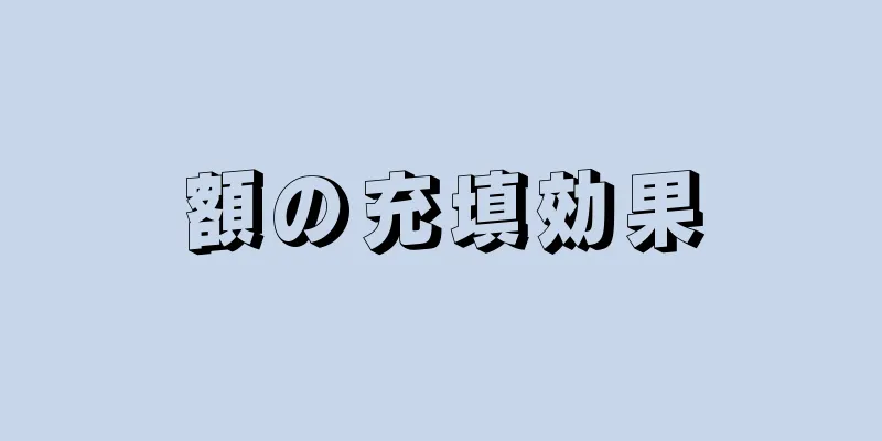 額の充填効果