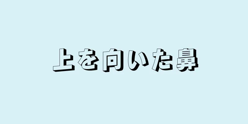 上を向いた鼻