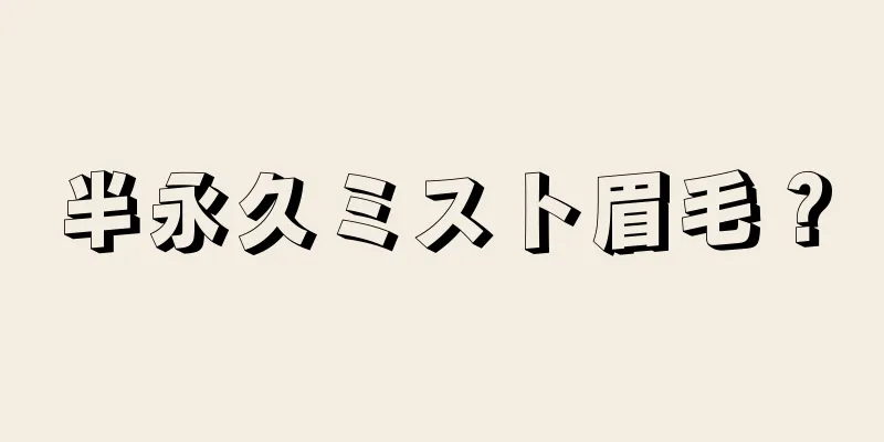 半永久ミスト眉毛？