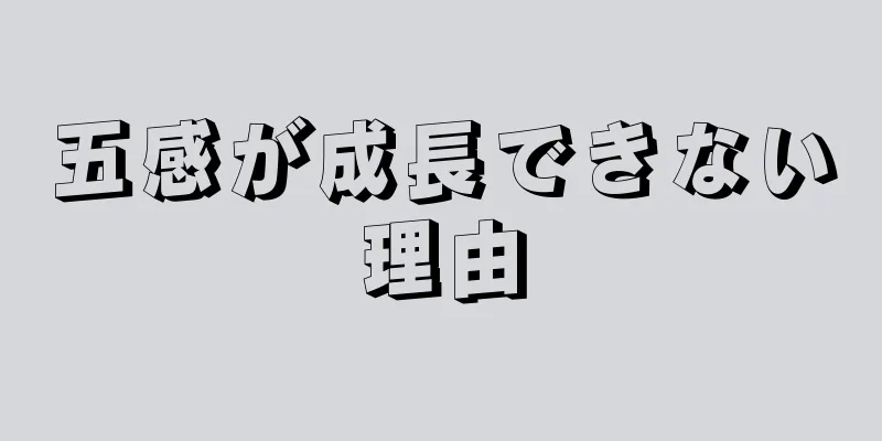 五感が成長できない理由
