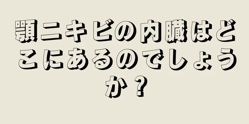 顎ニキビの内臓はどこにあるのでしょうか？