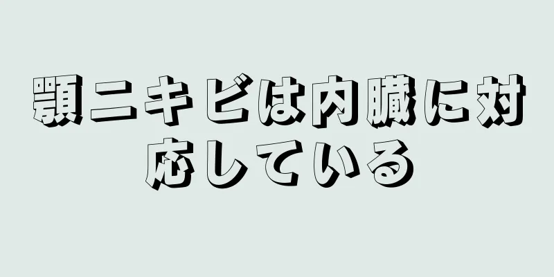 顎ニキビは内臓に対応している