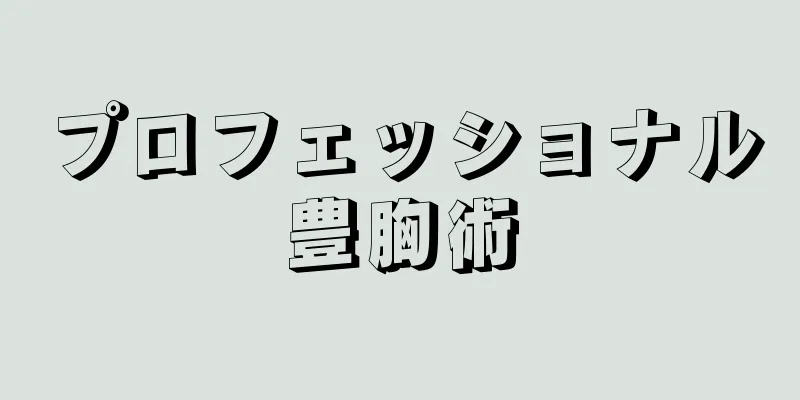 プロフェッショナル豊胸術