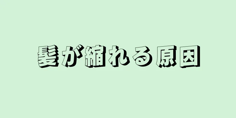 髪が縮れる原因