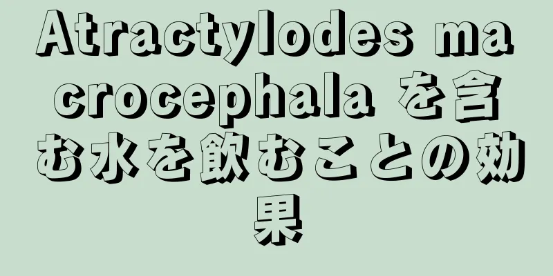 Atractylodes macrocephala を含む水を飲むことの効果