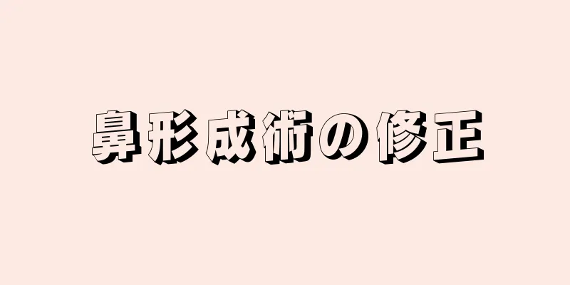 鼻形成術の修正