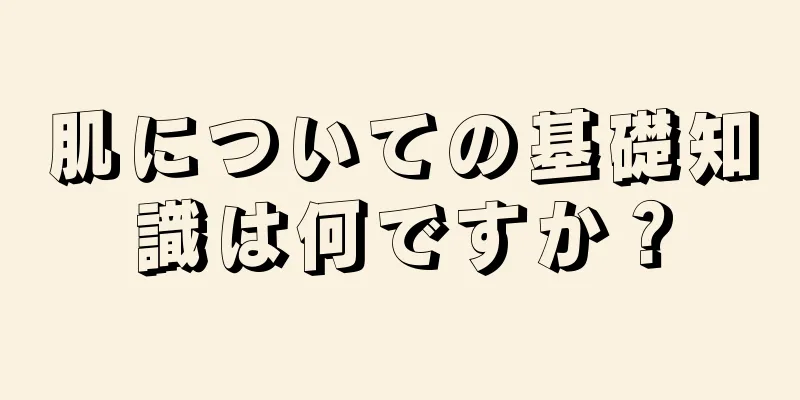 肌についての基礎知識は何ですか？
