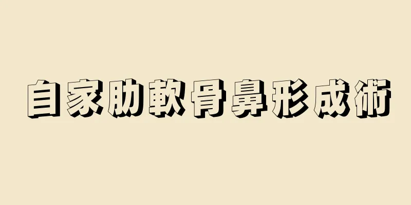 自家肋軟骨鼻形成術