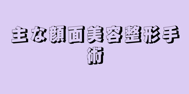主な顔面美容整形手術