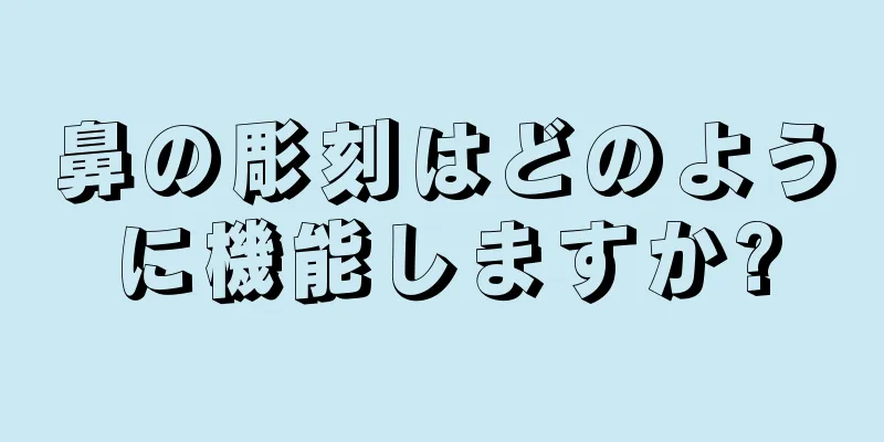 鼻の彫刻はどのように機能しますか?