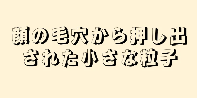 顔の毛穴から押し出された小さな粒子