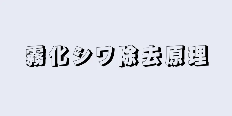 霧化シワ除去原理