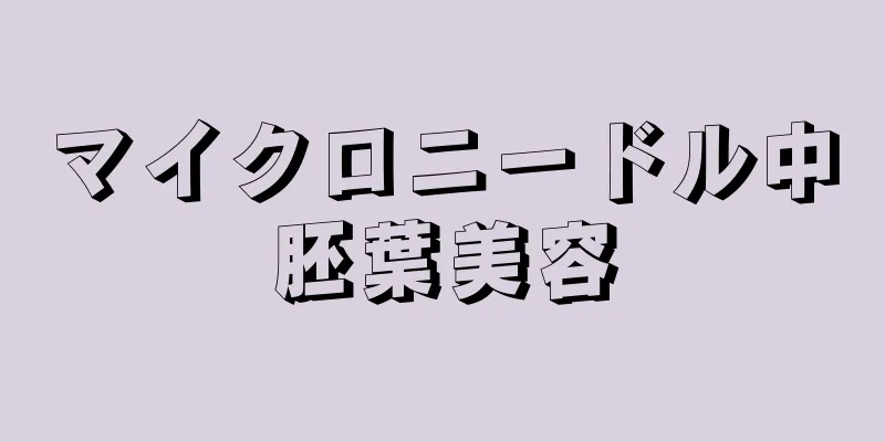 マイクロニードル中胚葉美容