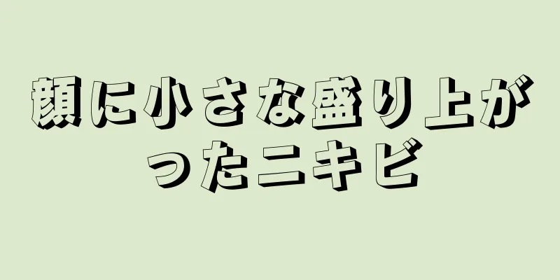 顔に小さな盛り上がったニキビ