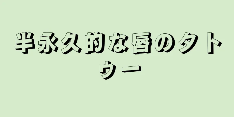 半永久的な唇のタトゥー