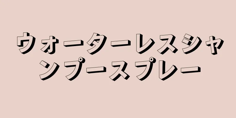 ウォーターレスシャンプースプレー