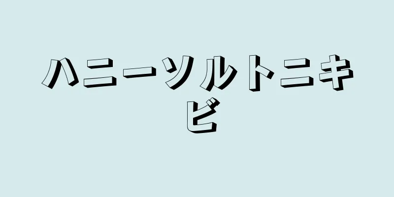 ハニーソルトニキビ