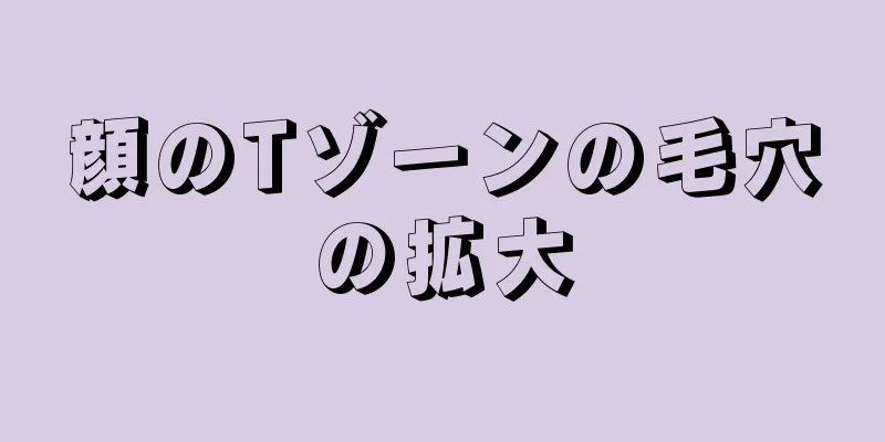 顔のTゾーンの毛穴の拡大