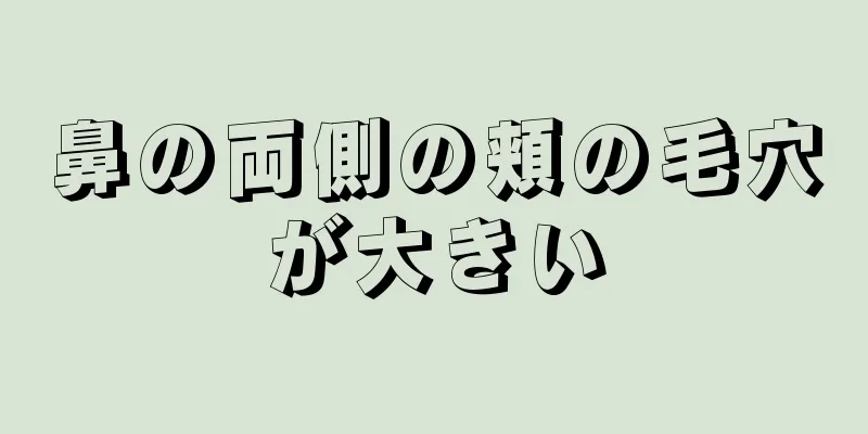 鼻の両側の頬の毛穴が大きい