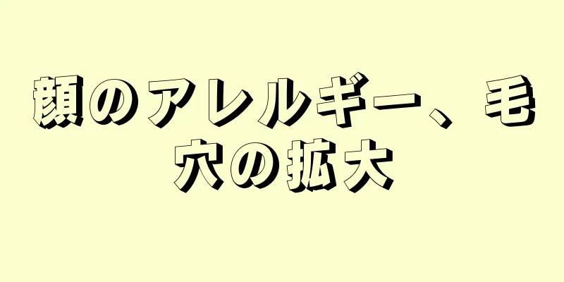 顔のアレルギー、毛穴の拡大