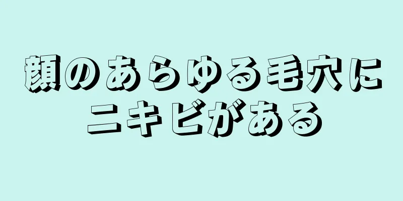 顔のあらゆる毛穴にニキビがある