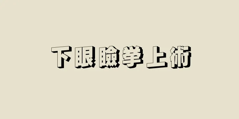 下眼瞼挙上術