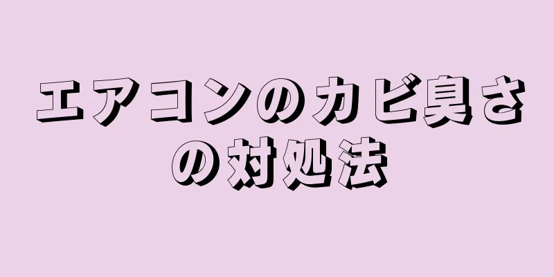 エアコンのカビ臭さの対処法