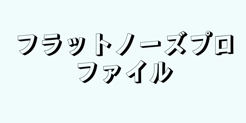 フラットノーズプロファイル