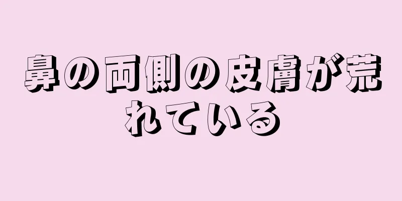 鼻の両側の皮膚が荒れている