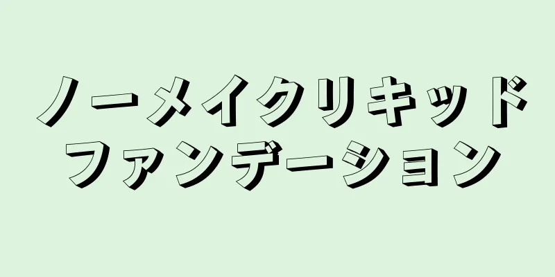 ノーメイクリキッドファンデーション