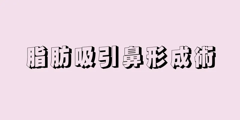 脂肪吸引鼻形成術