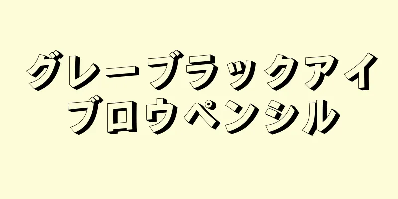グレーブラックアイブロウペンシル