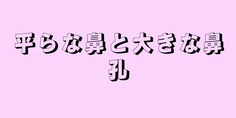平らな鼻と大きな鼻孔