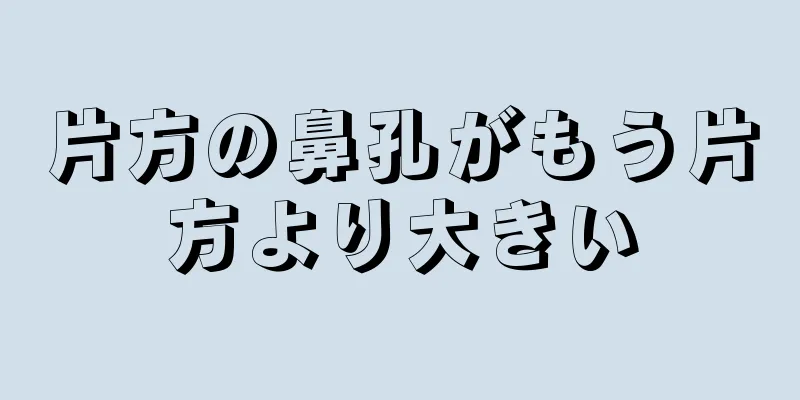 片方の鼻孔がもう片方より大きい