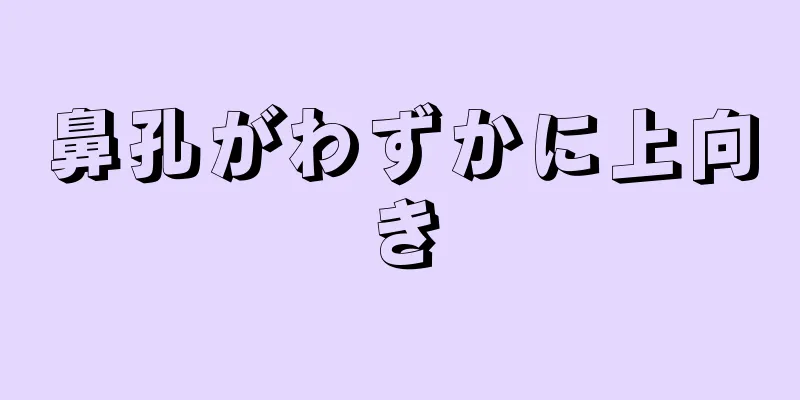 鼻孔がわずかに上向き