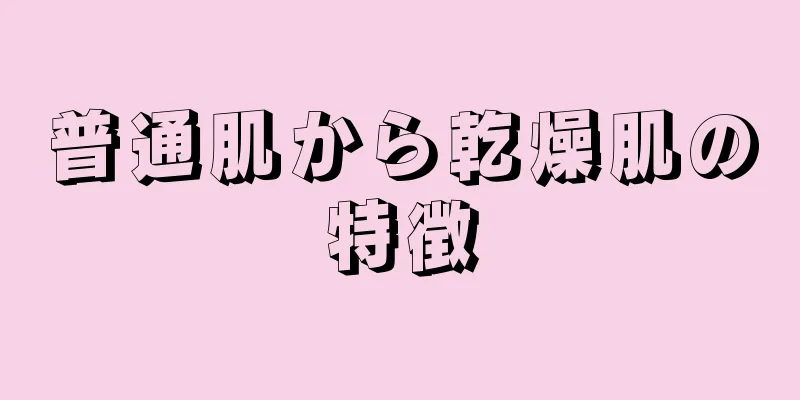 普通肌から乾燥肌の特徴