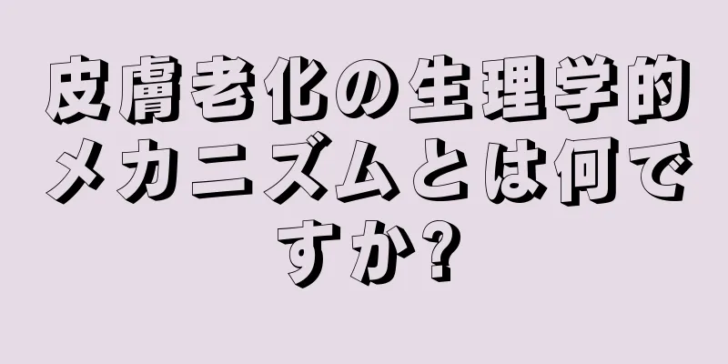 皮膚老化の生理学的メカニズムとは何ですか?