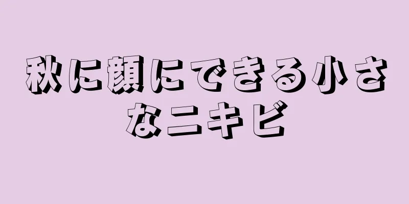秋に顔にできる小さなニキビ